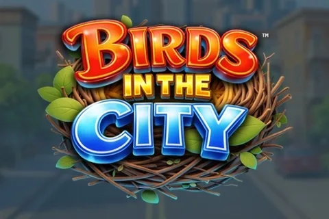Birds in the City — Betsoft